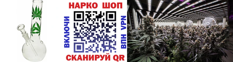 МЕФ Великие Луки
