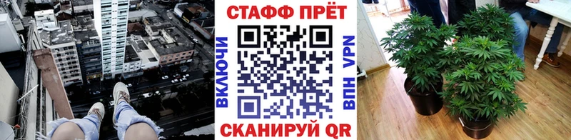 Купить закладку Каннабис  НБОМе  АМФ  МЕФ  Гашиш  APVP  Кокаин  Великие Луки