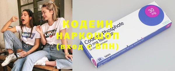 мет Инсар