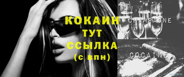 шишки Иннополис
