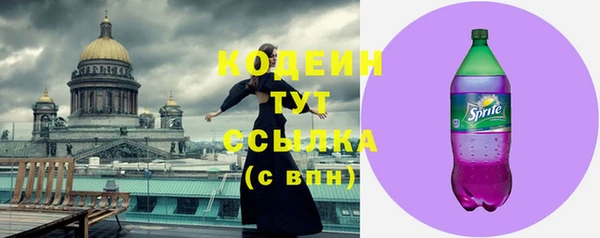 винт Инта