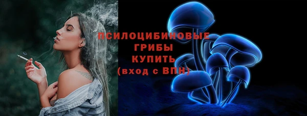 шишки Иннополис