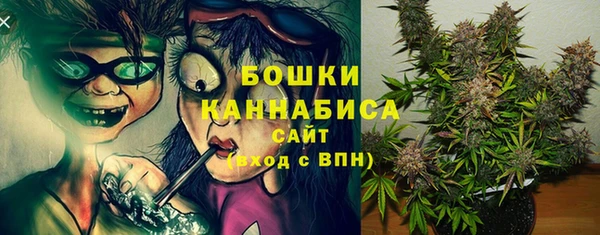 винт Инта