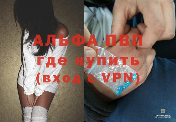 винт Инта