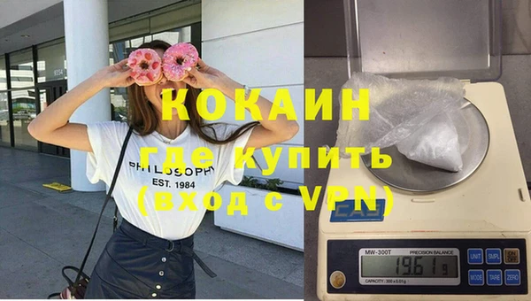 винт Инта