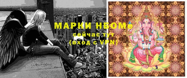 винт Инта