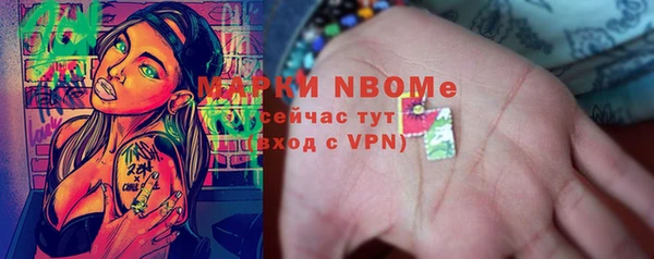 шишки Иннополис