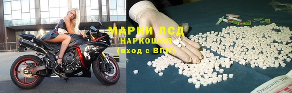 винт Инта