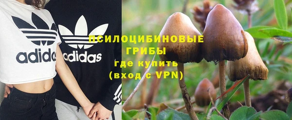 мет Инсар