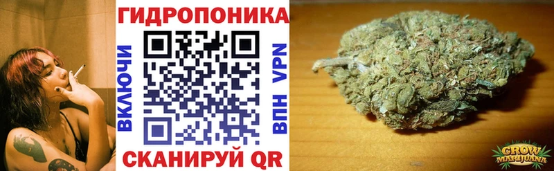 Купить закладки  Великие Луки  Конопля Amnesia 